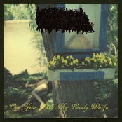 One Year With My Lovely Waifu