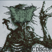 Post Sexomatic Disgust