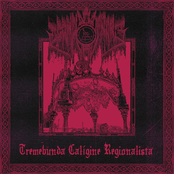 Tremebunda Calнgine Regionalista