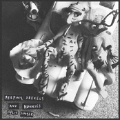 Peeping Drexels / Honkies - Split Single
