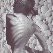 Chronicity of a Disease