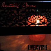 Perpetual Groove: Livelovedie
