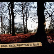 Asfalttikin voi pettaa