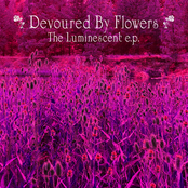 The Luminescent EP