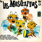 Las Mosquitas