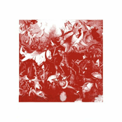 Izguben Mejdu Dvata Svqta