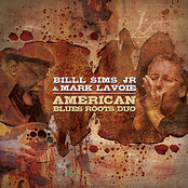 American Blues Roots Duo