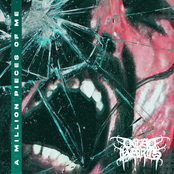 A Million Pieces of me