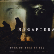 Mass Murder by Megaptera