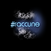 #raccune