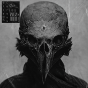 Corvus