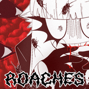 LuLuYam: ROACHES