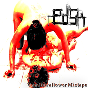 Vomitswallower Mixtape