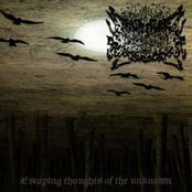 Escaping Thoughts of the unknown