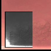 Primavera Feel - Single