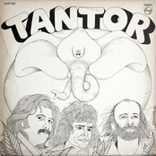 Tantor