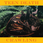 teen death