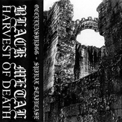 Occelensbrigg / Spiral Staircase