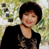 kim tước