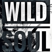 Wild Soul