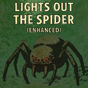Lights Out the Spider