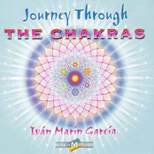 Journey Through The Chakras