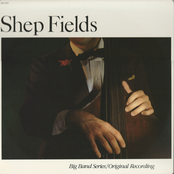 Snuggled on Your Shoulder