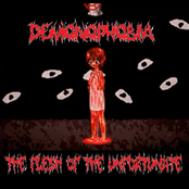 The Flesh Of The Unfortunate