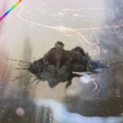 Meditations on Trinity