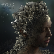 Aycomusic Chrysalis Collection