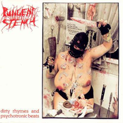 Dirty rhymes and psychotronic beats