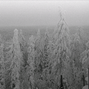 Likene i snøen... (demo)