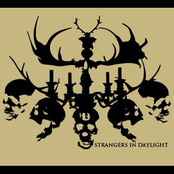 Strangers In Daylight