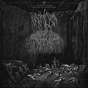split LP w/ SEEDS IN BARREN FIELDS