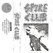 Spike Club (DEMO 2023)