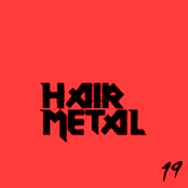 Absolute Hair Metal Vol. 19