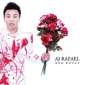 Red Roses by Aj Rafael
