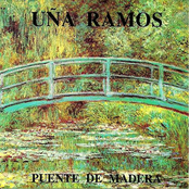 Puente De Madera
