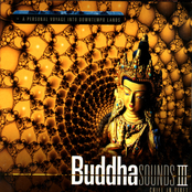 Buddha Sounds Vol.3