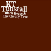 Black Horse And The Cherry Tree by Kt Tunstall