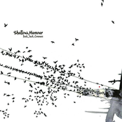 Shallow Humour (feat. Jack Conman)