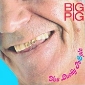 Lost Reason by Big Pig