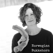 Norwegian Bukkehorn