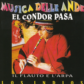 Musica delle Ande:  El Condor Pasa (Il flauto e l'arpa)