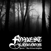 Forest... My Eternal Kingdom