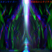 “ An Eternity In Atmosphere Exotica ”