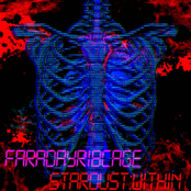 STARDUST:WITHIN