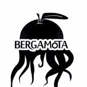 Bergamota