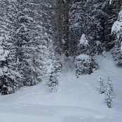 if looks could kill 2