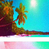 Under Two Palms ／／ DMT-119